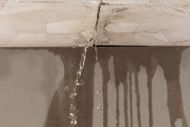 Professional Burst Pipe Cleanup technician working in Manor, TX